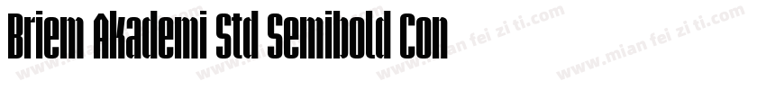 Briem Akademi Std Semibold Cond字体转换